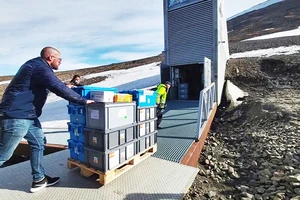 Kho Svalbard tiếp nhận lô hạt giống mới. Ảnh: NORDGEN