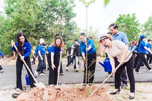 Đoàn viên, thanh niên huyện Hòa Vang trồng cây xanh tại các tuyến đường.