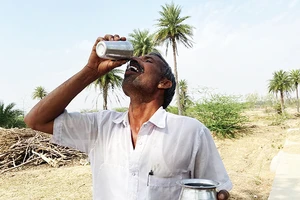 Ông Sharma uống nước từ một giếng ngầm trong làng. Ảnh: THE GUARDIAN