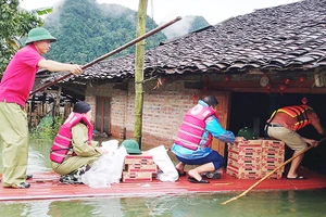 Ngân hàng Thực phẩm Việt Nam phối hợp Hội Chữ thập đỏ tỉnh Cao Bằng hỗ trợ thực phẩm cho người dân bị thiệt hại do bão số 3.