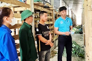 Anh Tiệp (ngoài cùng bên phải) hướng dẫn bà con cách sử dụng đệm lót sinh học cho hươu.