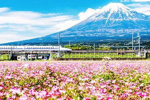 Một đoàn tàu Shinkansen chạy ngang qua ngọn núi Phú Sĩ của Nhật Bản. Ảnh: GETTY IMAGES