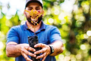 Phát triển bền vững là chìa khóa chống biến đổi khí hậu. Ảnh: GETTY IMAGES