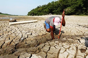 Người dân tìm cách tiếp cận nguồn nước ngọt khi hồ Puraquequara cạn nước.Ảnh: AFP