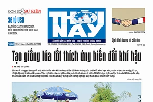 Đón đọc Thời Nay số 1548, phát hành thứ năm, ngày 14/11