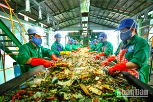 Nhà máy xử lý rác thải thành phố Cà Mau tái tiếp nhận, xử lý rác thải từ tối 15/2. (Ảnh: HỮU TÙNG)