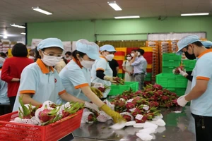 Rau quả Việt Nam có nhiều triển vọng xuất khẩu vào thị trường Đức. 