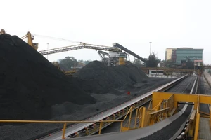 Phối trộn, chế biến than tại Công ty tuyển than Cửa Ông.
