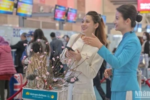 Vietnam Airlines Group cung ứng thêm hơn 650.000 ghế, tương đương hơn 3.000 chuyến bay trên các chặng bay nội địa Việt Nam trong dịp Tết Nguyên đán.