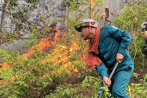 Ngọn lửa bùng phát trở lại ở khu vực rừng thuộc xóm Tân Phong, xã Thanh Khai, huyện Thanh Chương vào sáng nay.