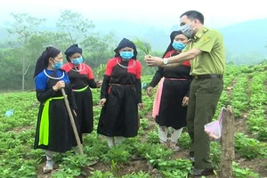Cán bộ kiểm lâm hướng dẫn kỹ thuật trồng rừng cho người dân.