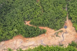 Nhiều diện tích rừng, suối bị các đối tượng đưa xe cơ giới xới tung để đào đãi vàng trái phép.
