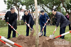 Các đồng chí lãnh đạo tỉnh, lãnh đạo thành phố Nam Định tham gia "Tết trồng cây" tại công viên Vị Xuyên.