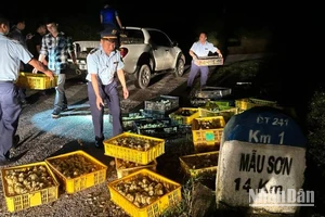 Phòng Cảnh sát kinh tế công an tỉnh Lạng Sơn, phối hợp Đội quản lý thị trường số 3 (Lộc Bình) bắt giữ hơn 4.800 gà con giống nhập lậu.