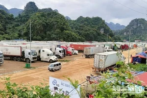 Xe chở hàng hóa xuất khẩu tồn ở Khu phi thuế quan Tân Mỹ, huyện Văn Lãng (Lạng Sơn).