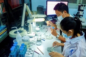 Đại học Quốc gia Thành phố Hồ Chí Minh chỉ còn 18% viên chức nhận lương từ ngân sách