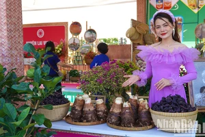 Gian hàng trưng bày sản phẩm đặc sản địa phương do hội viên hội quán trên địa bàn huyện Lấp Vò trồng. (Ảnh: HỮU NGHĨA)