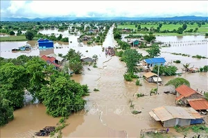 Cảnh ngập lụt do mưa lớn kéo dài tại tỉnh Battambang, Campuchia. (Ảnh tư liệu: AFP/TTXVN)