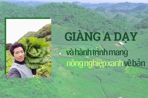 Giàng A Dạy và hành trình mang nông nghiệp xanh về bản