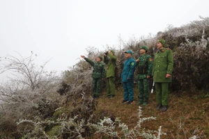 Đồn Biên phòng Xín Cái, huyện Mèo Vạc phối hợp các lực lượng địa phương tuần tra biên giới dưới thời tiết băng giá. (Ảnh: Minh Đức)