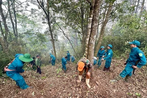 Các lực lượng chức năng tham gia chữa cháy rừng đặc dụng Tây Côn Lĩnh.