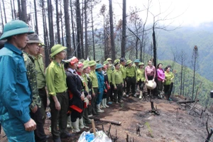 Chi cục Kiểm lâm tỉnh Hà Giang ra quân trồng rừng trên đỉnh Tây Côn Lĩnh.