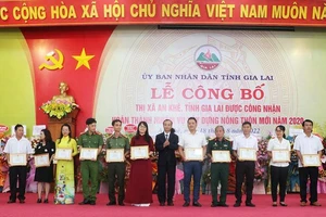 Tặng giấy khen cho các tập thể, cá nhân có thành tích xuất sắc trong phong trào xây dựng nông thôn mới ở An Khê. 