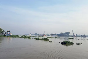 Sông Sài Gòn chảy qua địa bàn thành phố Thuận An, tỉnh Bình Dương.