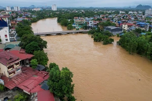 Ảnh minh họa.