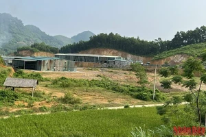 Một nhà xưởng hoành tráng mọc lên trên đất lâm nghiệp tại xã Quảng Chu.