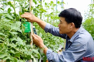 Lâm Đồng đẩy mạnh số hóa trong nông nghiệp.