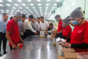 Đoàn công tác Bộ Ngoại giao đến thăm hoạt động sản xuất của doanh nghiệp tại Khu công nghiệp An Hiệp.