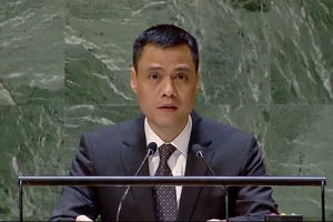 Đại sứ Đặng Hoàng Giang, Trưởng Phái đoàn Thường trực Việt Nam tại Liên hợp quốc. (Ảnh: Thanh Tuấn/TTXVN)