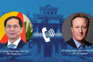 Bộ trưởng Ngoại giao Bùi Thanh Sơn điện đàm với Bộ trưởng Ngoại giao và Phát triển Anh David Cameron.