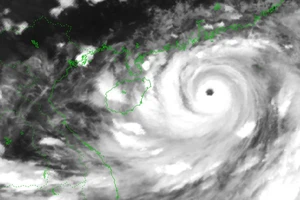 Mắt bão Yagi nhìn từ vệ tinh.