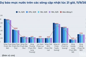 [Infographic] Dự báo mực nước trên các sông, cập nhật lúc 21 giờ ngày 11/9