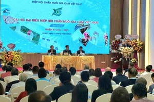 Quang cảnh Đại hội đại biểu Hiệp hội Chăn nuôi gia cầm Việt Nam lần thứ V, nhiệm kỳ 2024-2029.