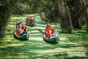 Long An cần phát triển các tour mini để du khách trải nghiệm sự thay đổi của văn hóa, phong tục, khí hậu, thổ nhưỡng của các vùng đất trên toàn tỉnh.