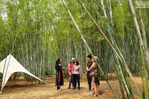 Du khách nghe giới thiệu về khu rừng trúc trong Khu du lịch Bản Ven, Bắc Giang (Ảnh: TRANG LINH)