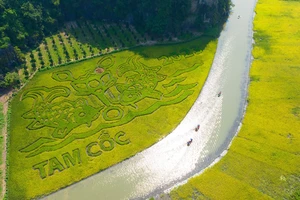 Bức tranh "Lý ngư vọng nguyệt" trên cánh đồng bên dòng sông Ngô Đồng. (Ảnh: Sở Du lịch Ninh Bình)