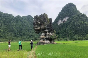 Đoàn chuyên gia mạng lưới Công viên địa chất toàn cầu UNESCO đến trải nghiệm điểm di sản mới “Hòn đá mồ côi” tại thung lũng Bản Hau, xã Cao Thăng (Trùng Khánh). (Ảnh tư liệu: TTXVN)