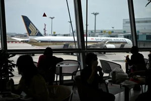 Số tiền thu được từ thuế hành khách sẽ được dùng để mua nhiên liệu hàng không bền vững theo nhu cầu của các hãng hàng không. (Ảnh: Straitstimes) 