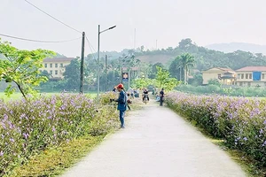Cán bộ và nhân dân tham gia làm đẹp cảnh quan nông thôn mới tại xã Việt Thành, huyện Trấn Yên, tỉnh Yên Bái. (Ảnh THANH SƠN)