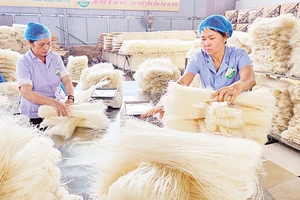 Sản phẩm mì gạo của Hợp tác xã Mì gạo Hùng Lô đạt tiêu chuẩn OCOP 4 sao luôn được người tiêu dùng đón nhận.