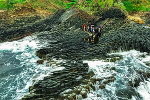 Di tích quốc gia đặc biệt Gành Đá Đĩa (xã An Ninh Đông, huyện Tuy An) thu hút ngày càng đông khách du lịch trong và ngoài nước. (Ảnh DƯƠNG THANH XUÂN)