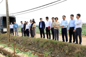 Đoàn giám sát khảo sát thực tế khu vực đất bãi bồi ven sông Hồng thuộc địa bàn huyện Mê Linh. (Ảnh Lê Hải)