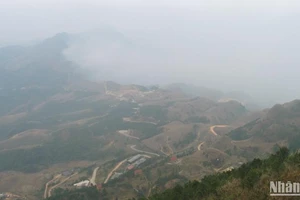 Toàn bộ khu du lịch Mẫu Sơn, Lộc Bình, Lạng Sơn chìm trong rét hại.