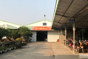 Công ty TNHH Lai Hoài xây dựng nhà xưởng trái phép trên đất nông nghiệp, thôn Lê Như Hổ, xã Hồng Nam, thành phố Hưng Yên, tỉnh Hưng Yên.