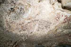Bức tranh hang động lâu đời nhất thế giới được tìm thấy trên đảo Sulawesi của Indonesia. Ảnh: REUTERS.