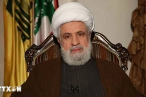 Thủ lĩnh mới của phong trào Hezbollah ở Liban Naim Qassem. (Ảnh: IRNA/TTXVN)